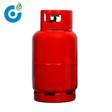 Gasfles LPG 12,5 kg Voor Koken Kamperen Met DOT ISO4706 CE BV